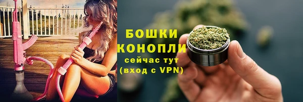 2c-b Белокуриха