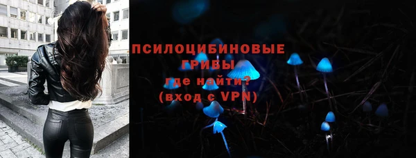 2c-b Беломорск