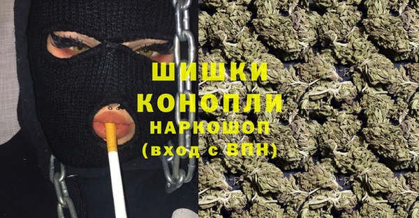 2c-b Белокуриха