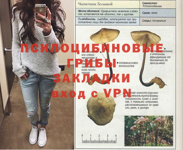первитин Белоозёрский