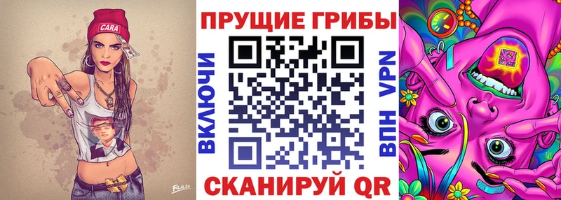 Купить закладки  Невьянск  Псилоцибиновые грибы Psilocybe 